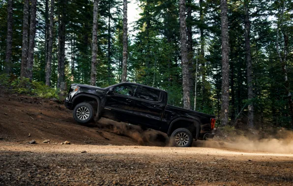 Picture forest, black, pickup, GMC, Sierra, AT4, 2019