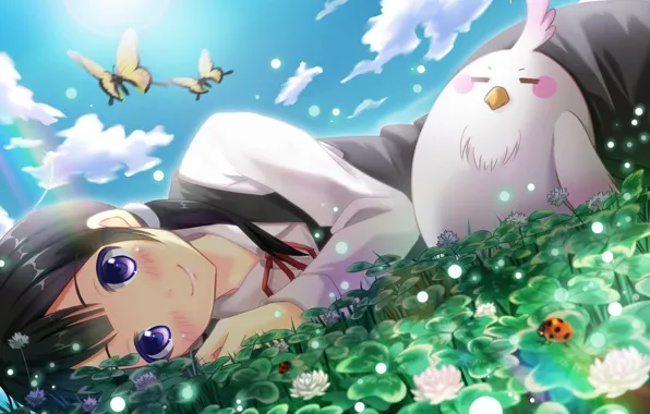 Meadow, parrot, girl, clover, Shop Tamako, Tamako Market