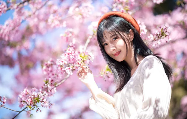 Picture smile, brunette, Asian, smile, cherry blossoms, brunette, charm, cherry blossom