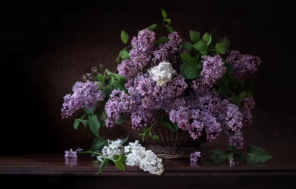 Wallpaper flowers, bouquet, lilac