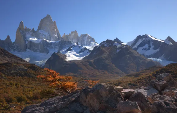 Autumn, mountains, stones, tree, rocks, Andes, Patagonia