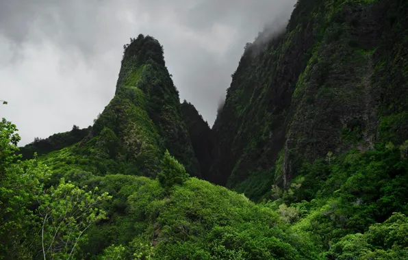 Mountains, Hawaii, the valley of IAO
