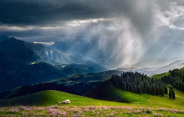 Forest, the sky, clouds, mountains, clouds, rain, valley, tent