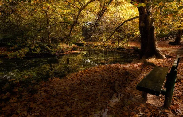 Picture autumn, Park, bench