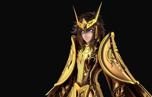 Gold saint, andromeda, Shun