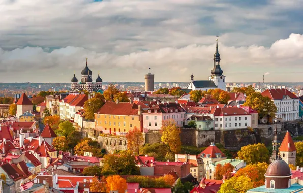 Picture home, Estonia, panorama, Tallinn