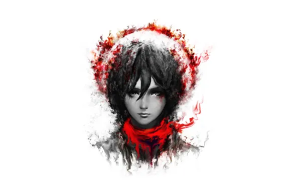 Anime, asian, manga, japanese, asiatic, Attack On Titan, shounen, 012