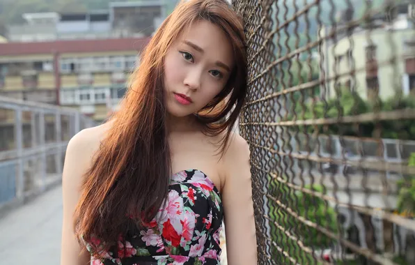 Summer, look, girl, background, Asian