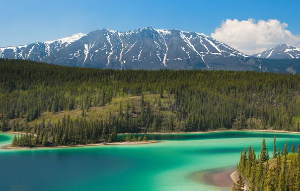 Picture trees, mountains, lake, Alaska, Emerald Lake