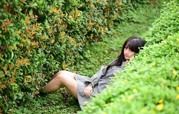 Picture girl, legs, the bushes