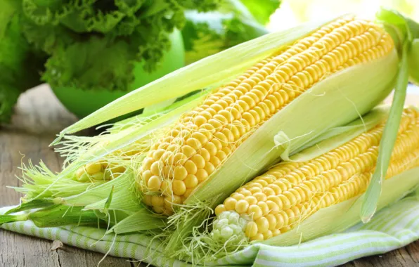 Corn, Grain, Cobs