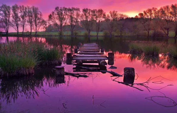 Trees, sunset, lake, reflection, pierce, trees, sunset, lake