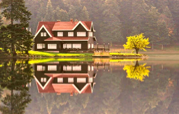 Autumn, forest, landscape, nature, lake, house, reflection, cottage
