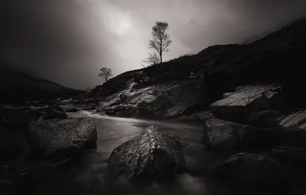 Picture trees, night, river, stones, Scotland