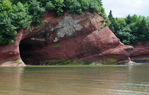 Sea, forest, trees, shore, cave, caves, St. Martins Sea