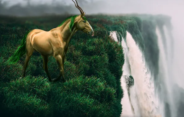 Grass, animal, waterfall, antelope