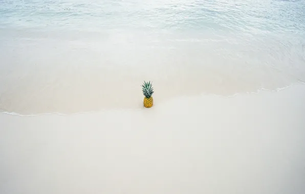 Sand, beach, water, pineapple