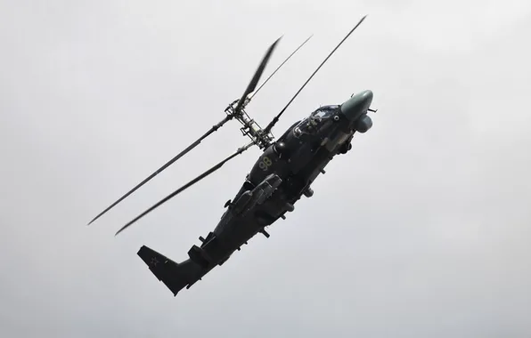 Helicopter, Alligator, ka-52, the Russian air force, Hokum B
