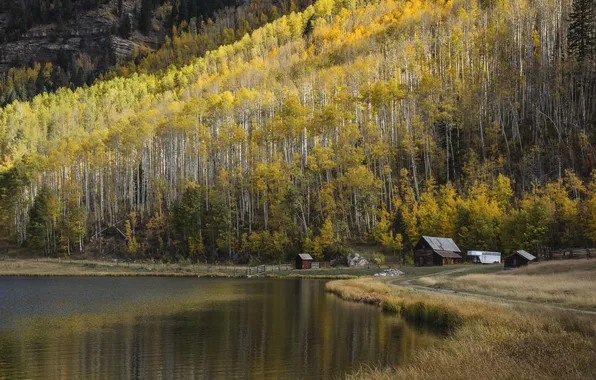 Autumn, trees, mountains, lake, reflection, shore, slope, houses