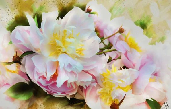 White, flower, leaves, flowers, pink, figure, graphics, treatment