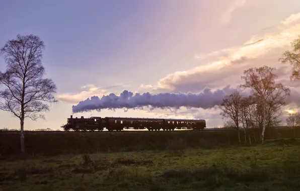 Nature, smoke, train, cars
