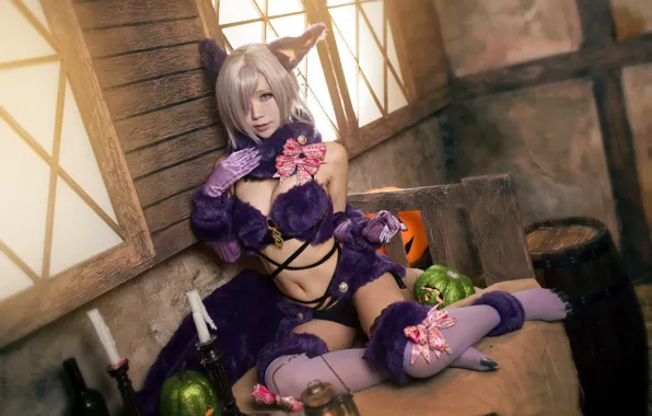 Picture cat, purple, chest, look, girl, light, face, pose