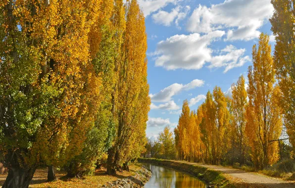 Picture autumn, the sky, trees, channel