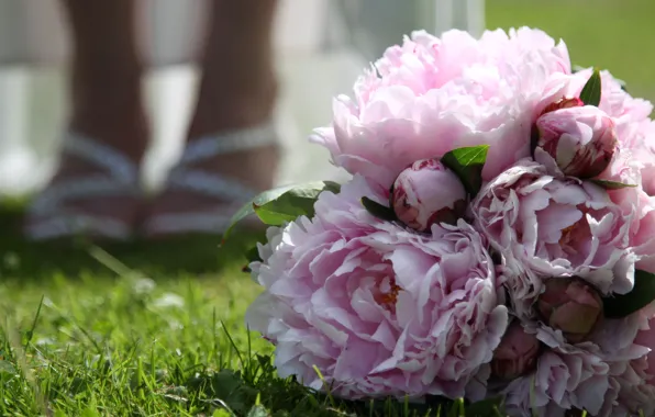 Flowers, bouquet, weed, Peonies
