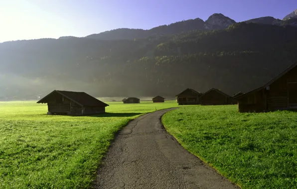 Picture greens, forest, the sky, grass, asphalt, trees, mountains, the way