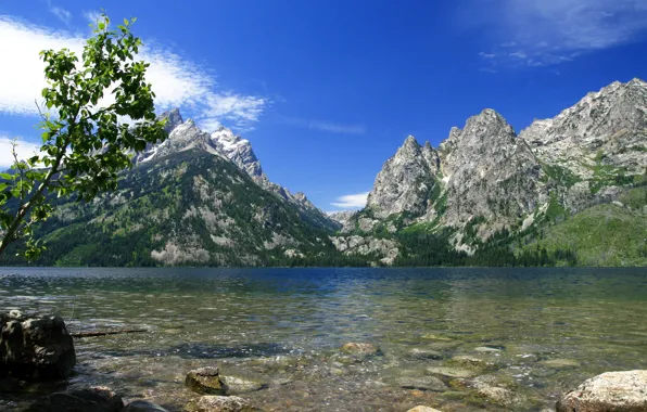 Nature, river, USA, Wyoming, National Park, Jenny Lake, Grand Teton