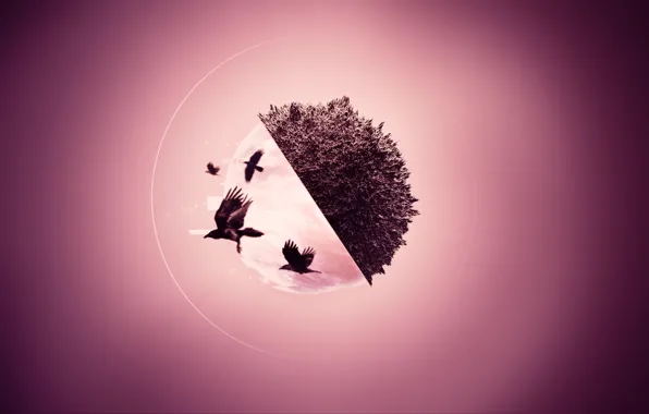 Picture birds, abstraction, graphics, round, crows