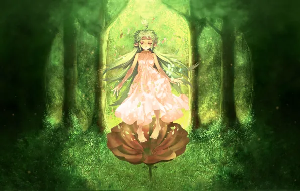 Picture forest, flower, grass, elf, art, girl, Anime, Ragnarok Online