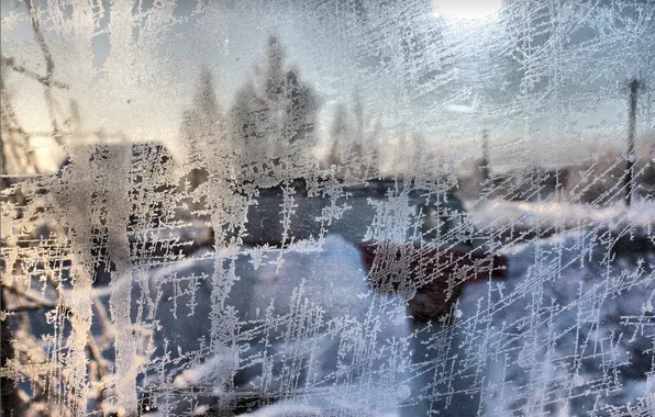 Winter, glass, pattern, window