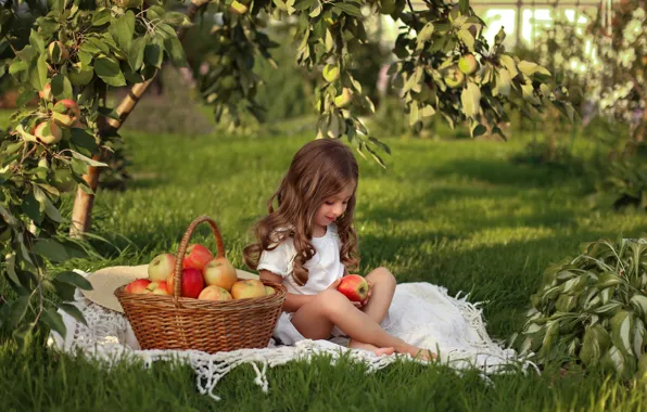 Basket, apples, harvest, girl