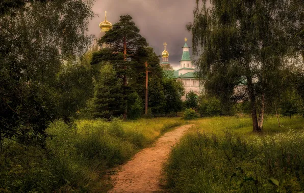 Picture trees, Church, temple, Russia, path, pine