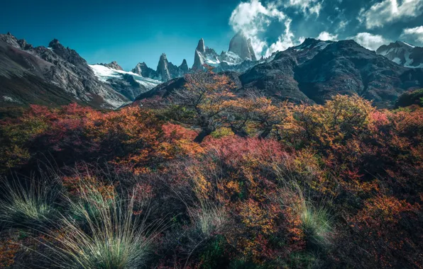 Autumn, the sky, clouds, mountains, blue, thickets, shore, foliage