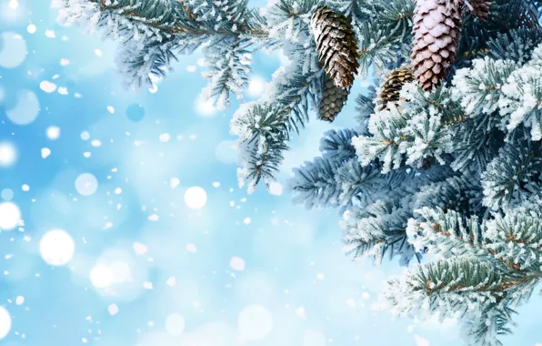 Snow, needles, branches, background, tree, New year, bumps