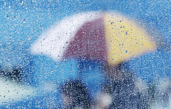 Picture glass, drops, umbrella, background, Wallpaper, different, water. rain