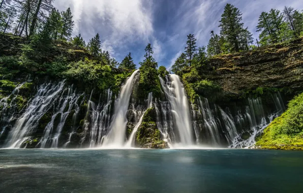 Forest, summer, the sky, water, clouds, trees, landscape, nature