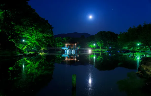 Picture the sky, water, trees, night, bridge, lights, pond, Park