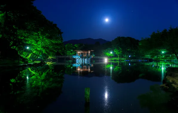 The sky, water, trees, night, bridge, lights, pond, Park