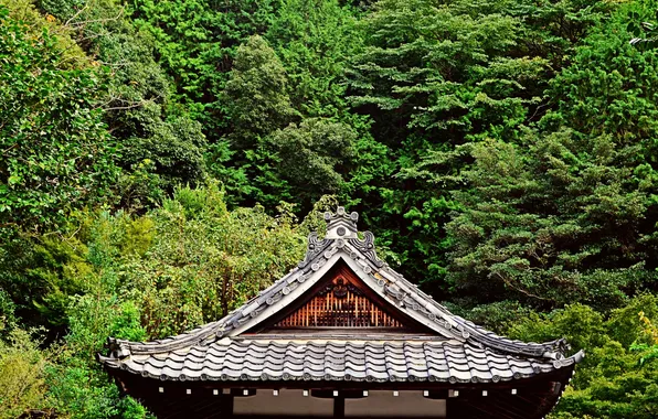 Roof, greens, trees, Japan, garden, pagoda