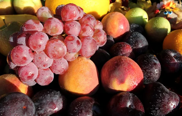 Picture grapes, fruit, peaches, plum