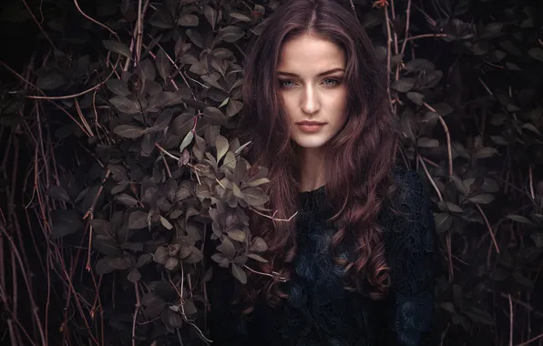 Picture look, leaves, girl, branches, face, portrait, long hair, curls