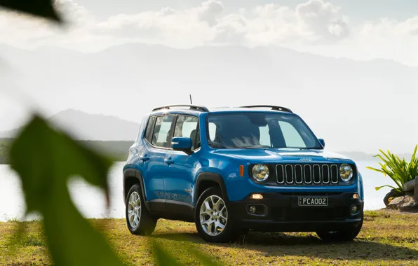 Leaf, jeep, Jeep, Renegade, longitude
