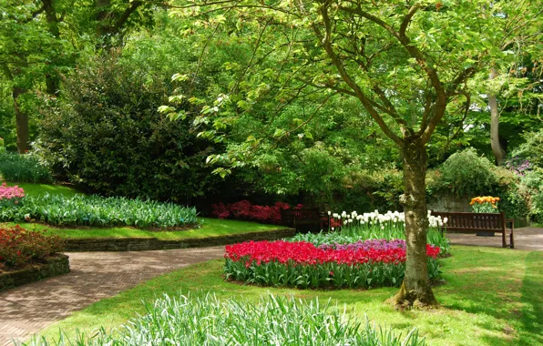 Flowers, Park, spring, garden, Nature, park, flowers, garden