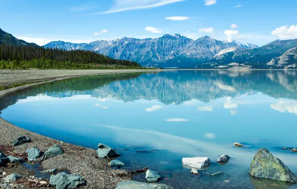 Forest, mountains, lake, blue, stones, shore