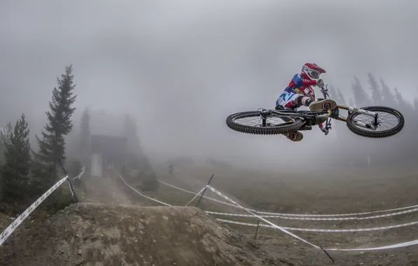 Bike, fog, race, sport