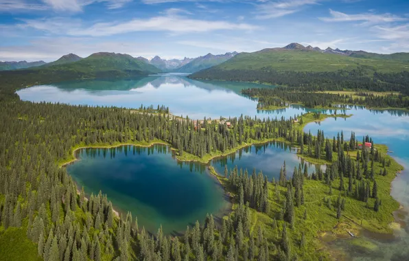 Forest, mountains, lake, Alaska, panorama, Alaska, Alaska range, Alaska Range