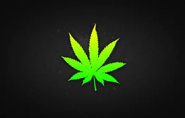 Leaves, weed, marijuana